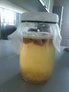 Kefir de fruits fermentation h24