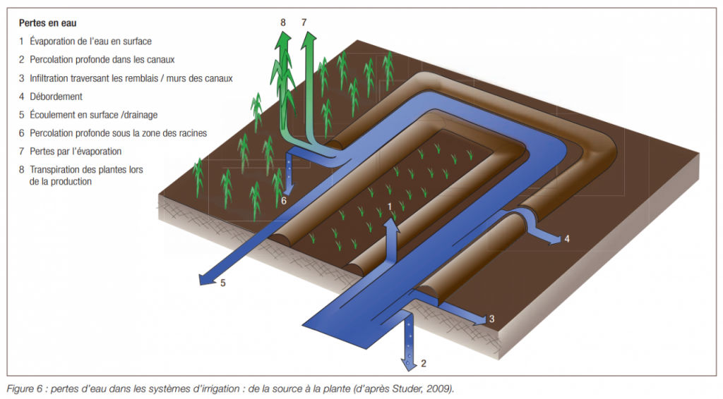 Gestion durable de la terrre -L'efficience de l'eau (6)